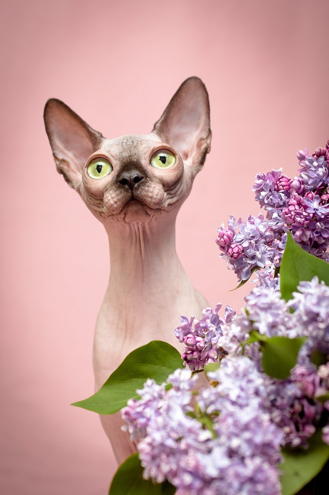 Photograph by Светлана Ткач