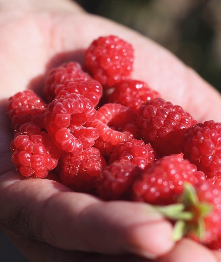 Photograph by Yelena Yakubov