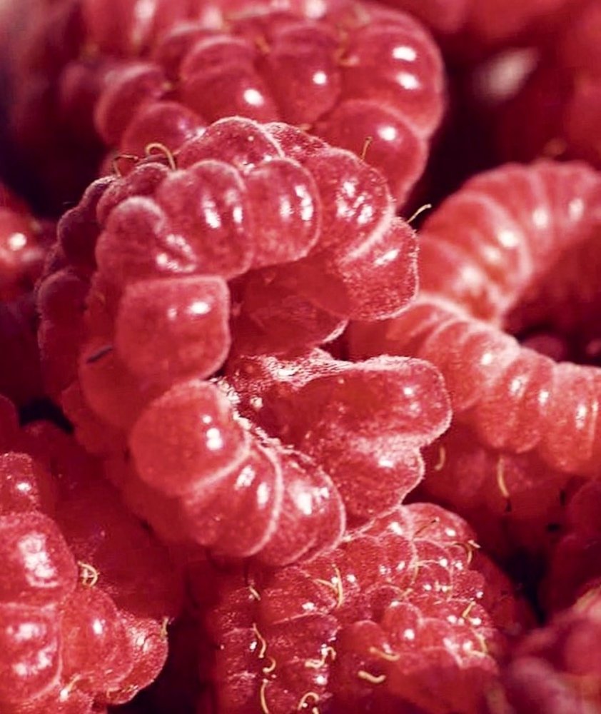 Photograph by Yelena Yakubov