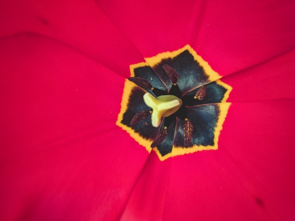 Photograph by Дмитрий Иванченко