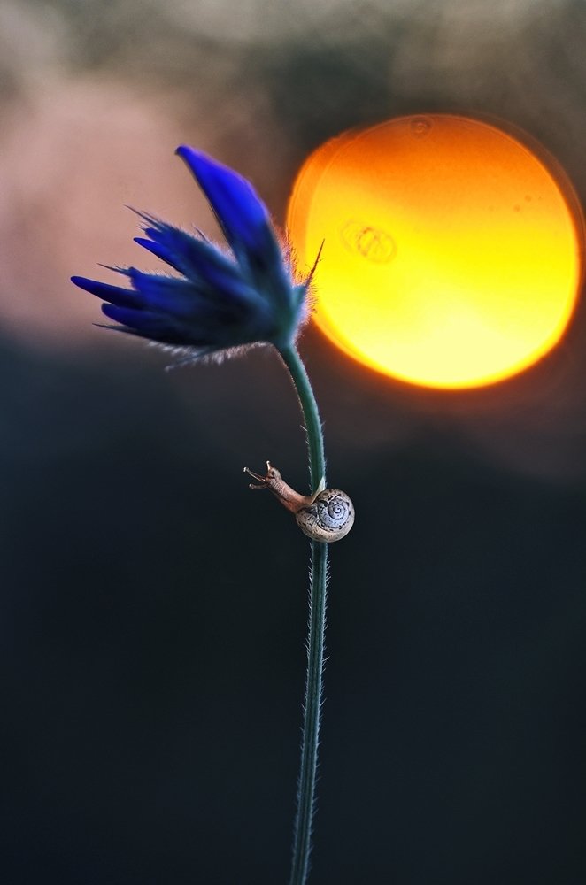 Фотография автора Ercan Yurt