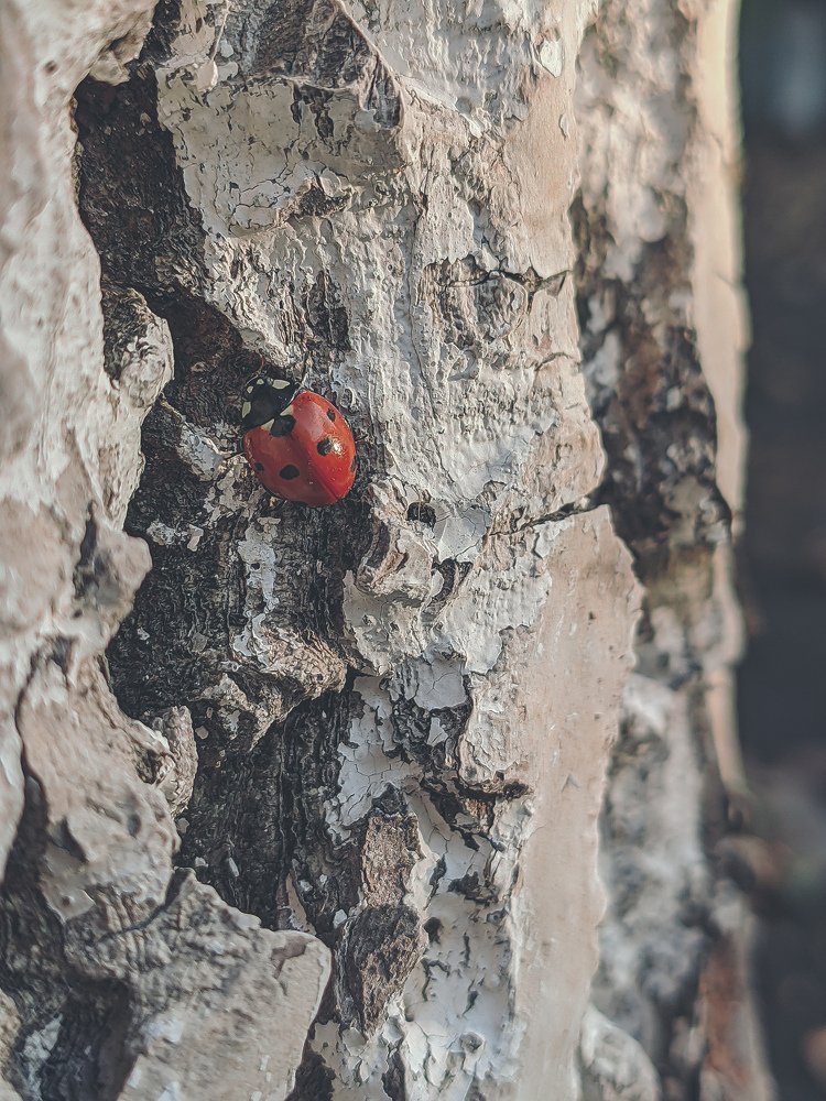 Photograph by Дмитрий Иванченко