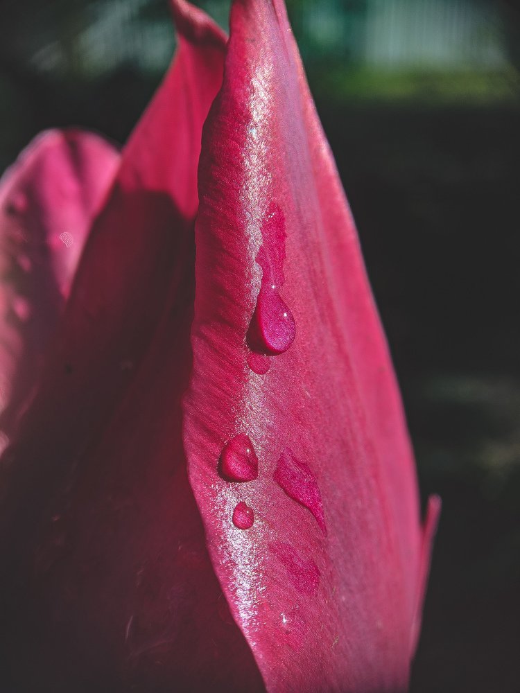 Photograph by Дмитрий Иванченко