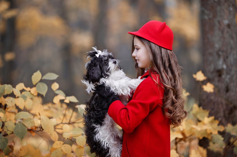 Photograph by Елена Кельина