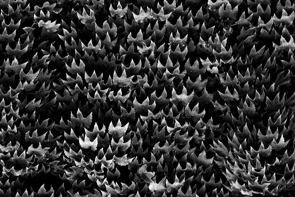 Photograph by Евгений Андреев