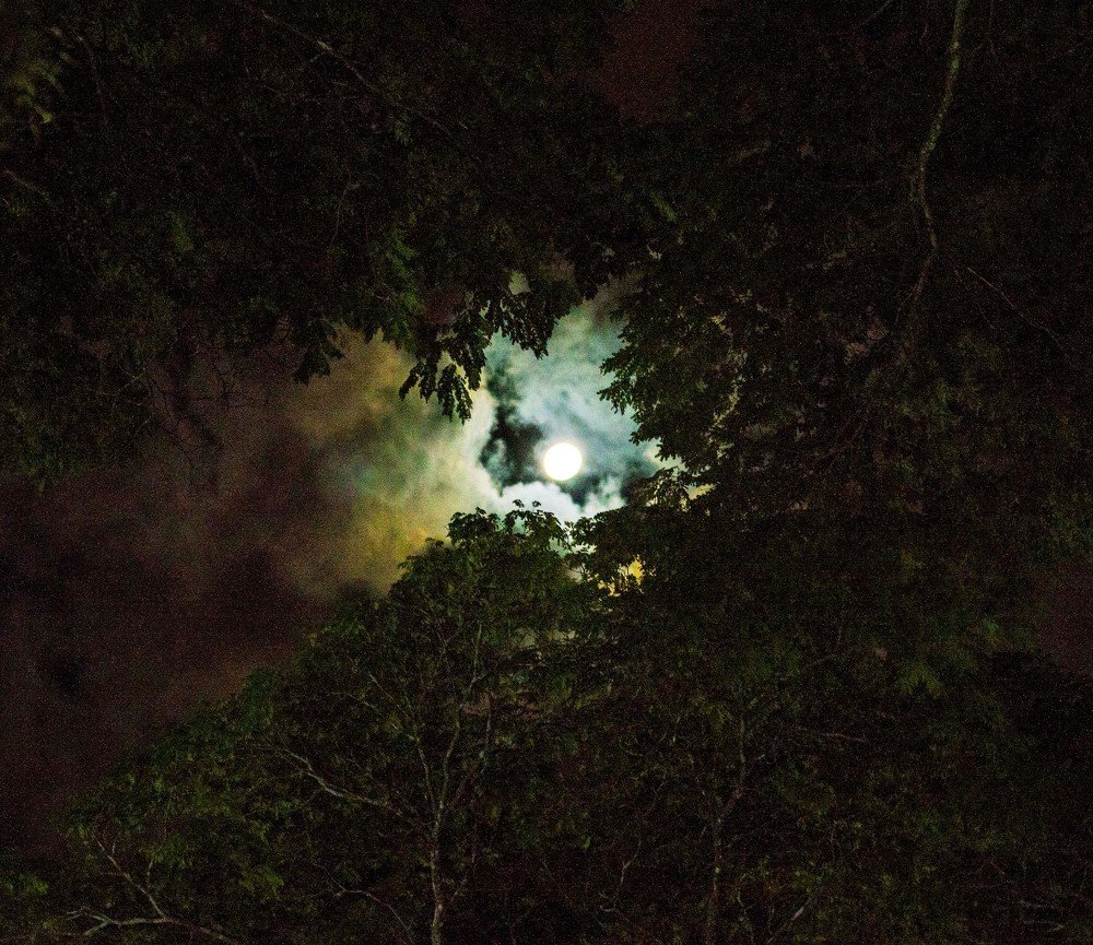 Photograph by Rosângela Verdi