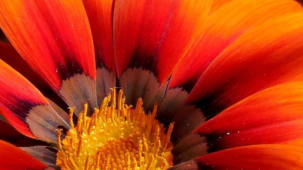 Фотография автора Павел Попов