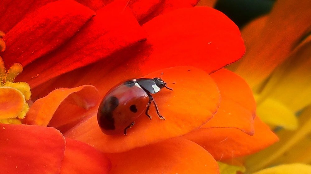 Фотография автора Павел Попов