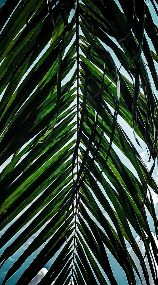 Photograph by Rohit Tonapi