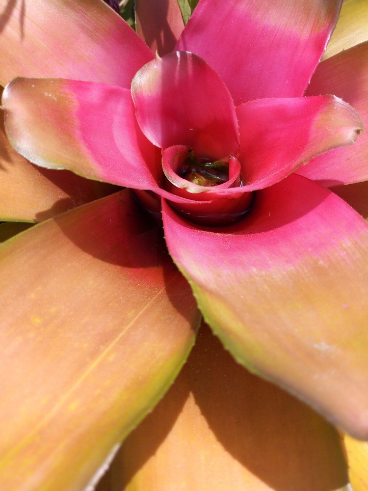 Photo #3841091