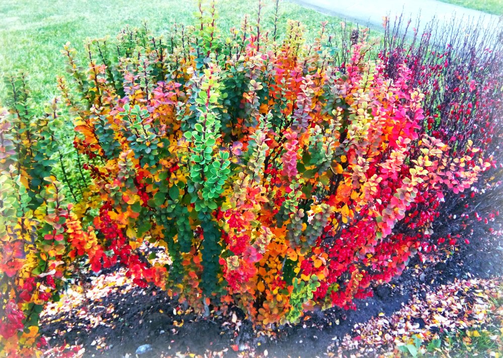 Photograph by Александр Кравченко