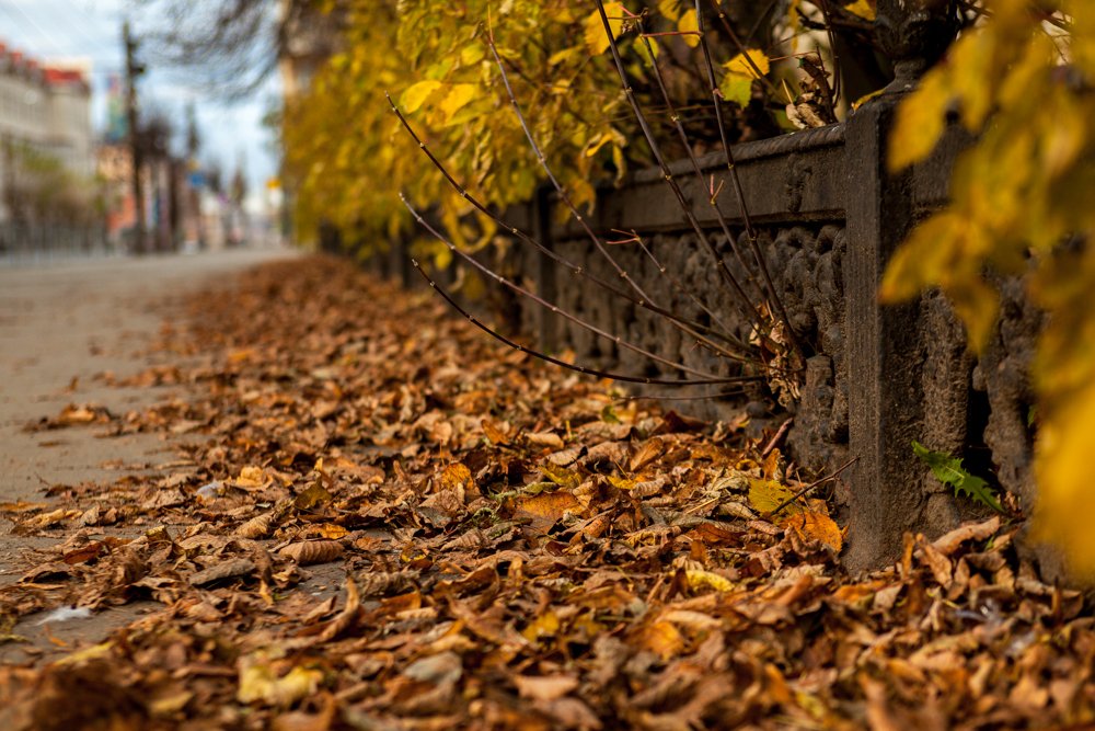 Фотография автора Vyacheslav Lozhkin