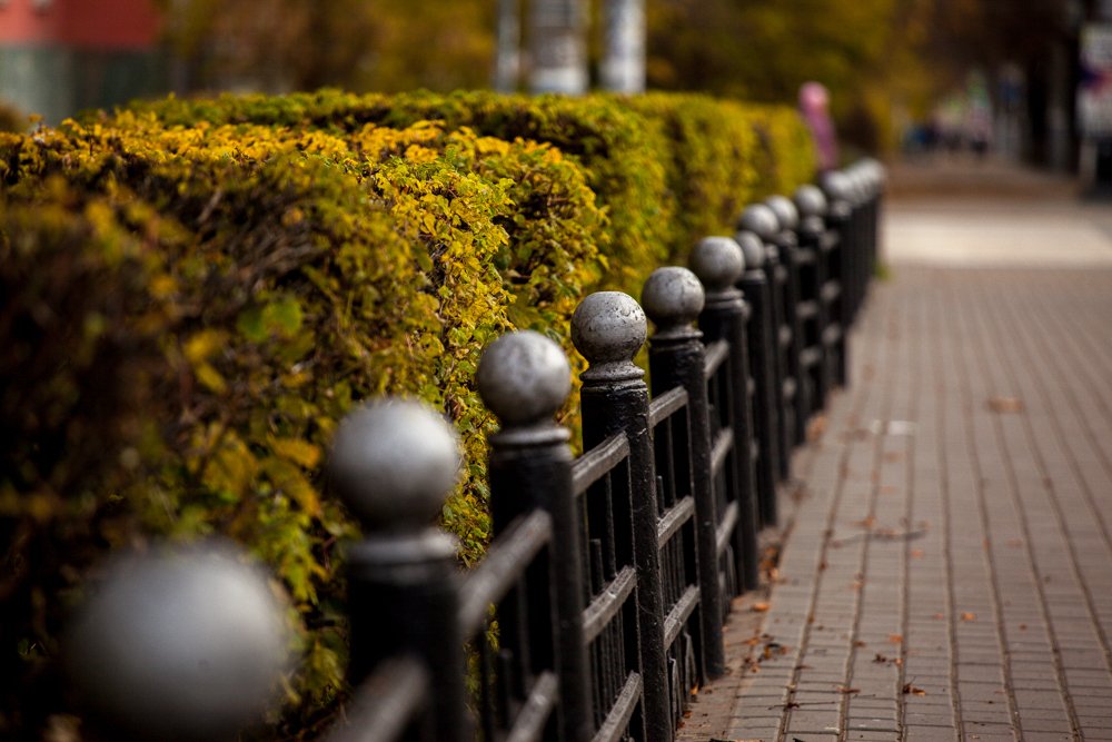 Фотография автора Vyacheslav Lozhkin