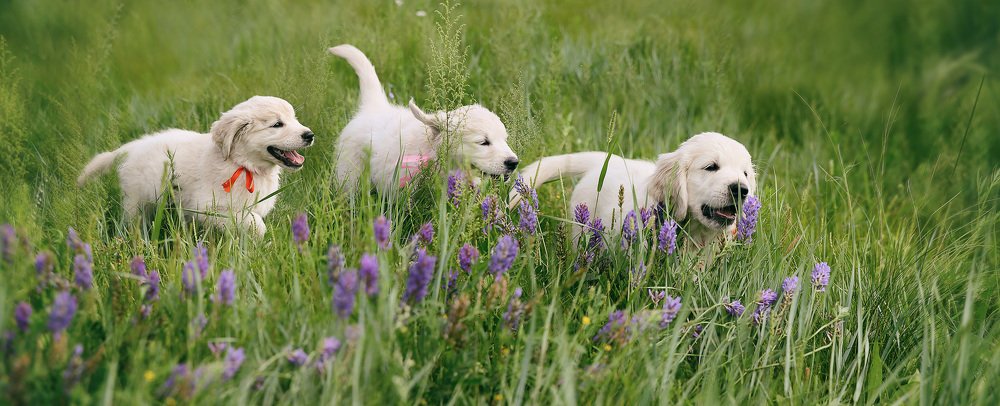 Photograph by Таня Дорошенко