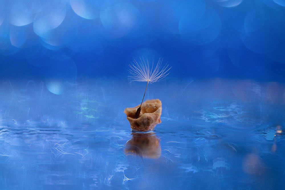 Белеет парус...