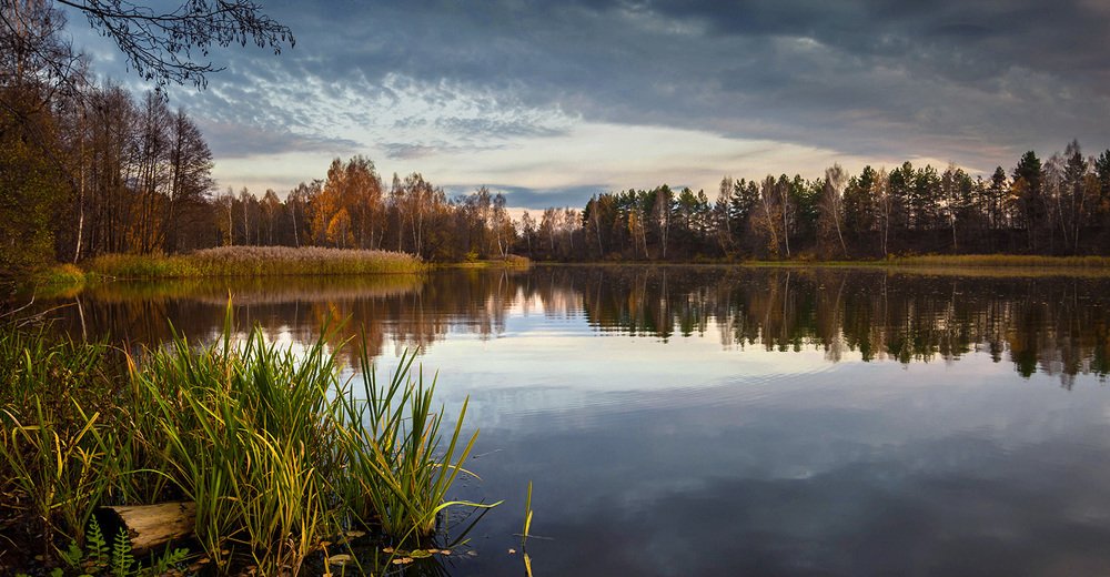 Фотография автора Георгий