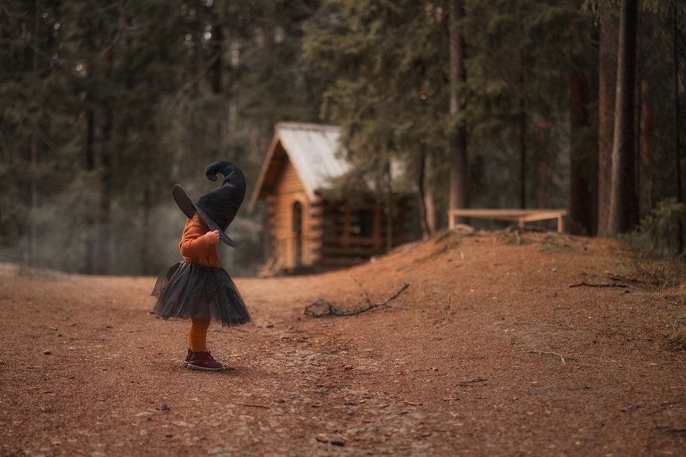 Фотография автора Елена Петрова