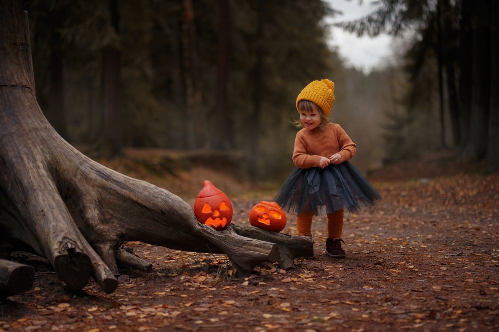 Фотография автора Елена Петрова