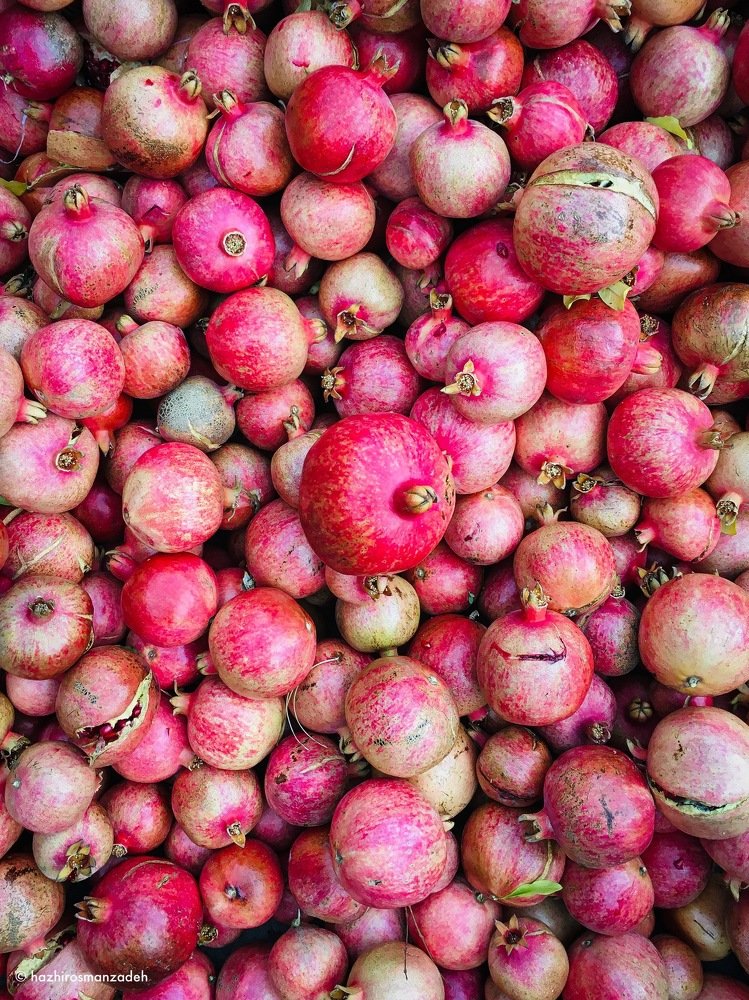 Photograph by Hazhir Osmanzadeh