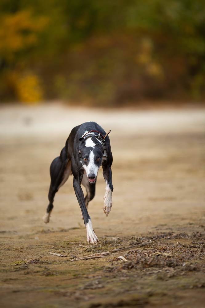 Photograph by Мовчан Юлия