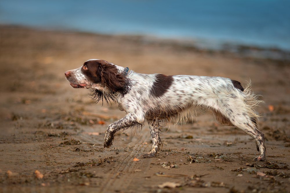 Photograph by Мовчан Юлия