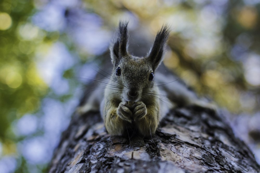 Photograph by Валерий Шорохов