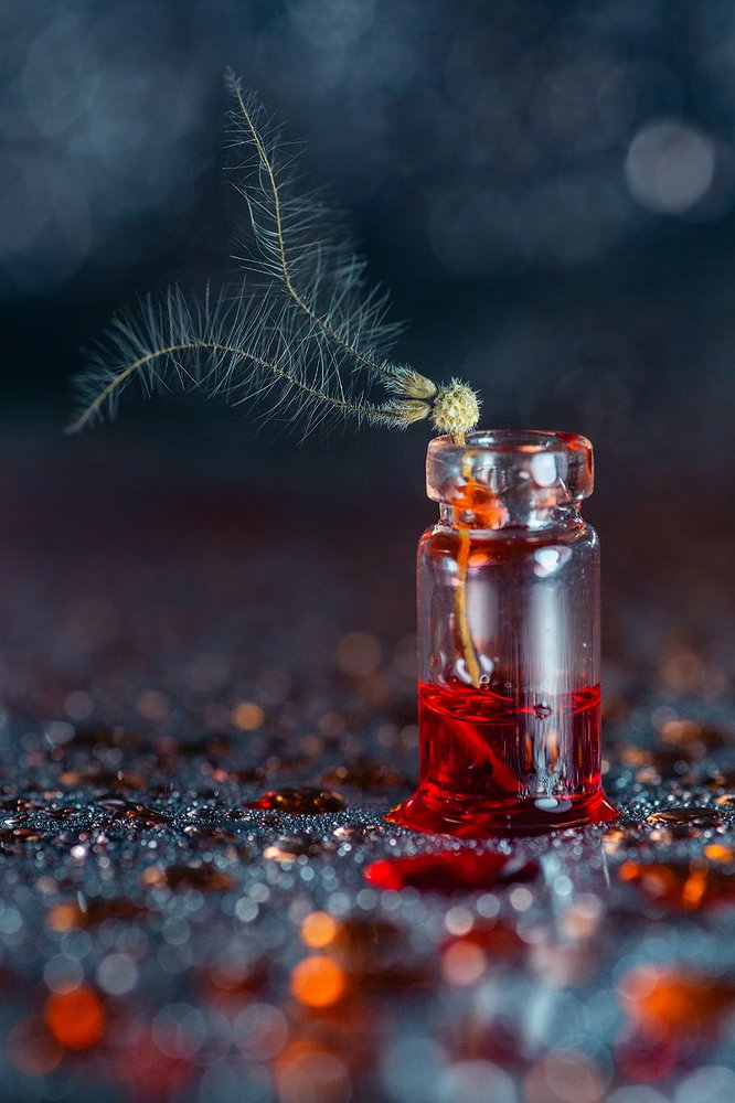 Photograph by Иван Радьков