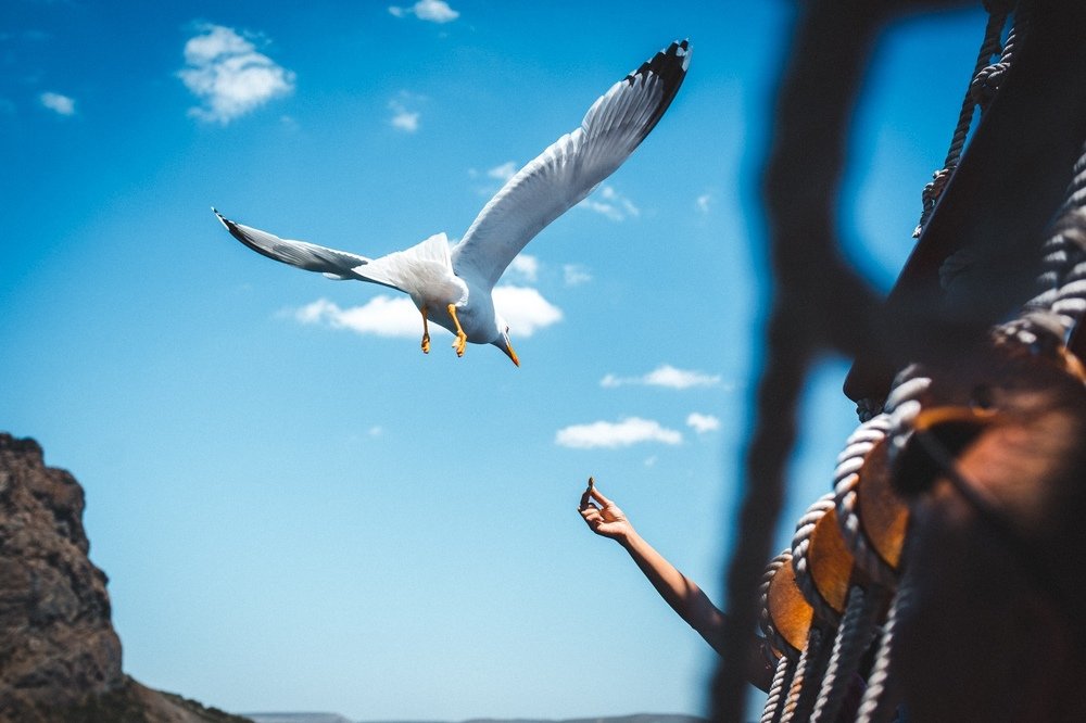 Photograph by Саша Матвеев