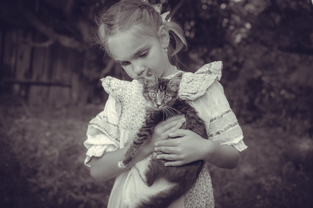 Фотография автора Ольга Осипова