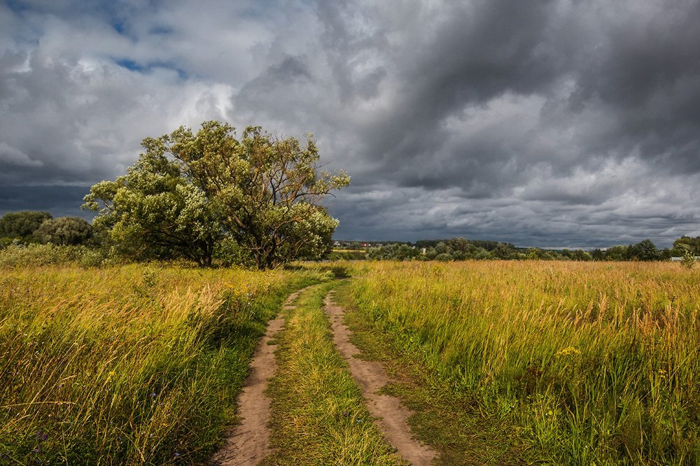 Фотография автора Георгий
