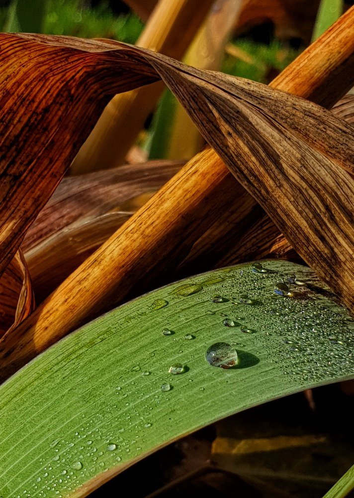 Осенний штрих...