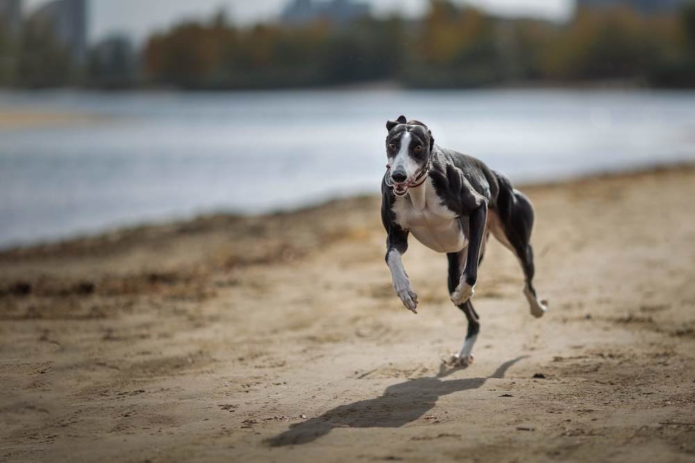 Photograph by Мовчан Юлия