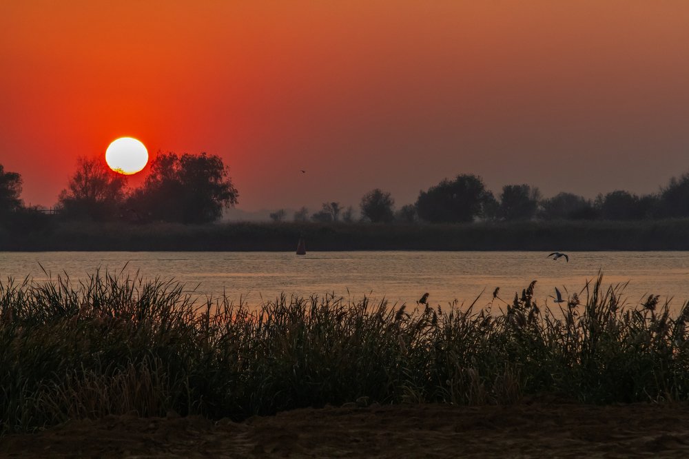 Photograph by Василий Андрусенко