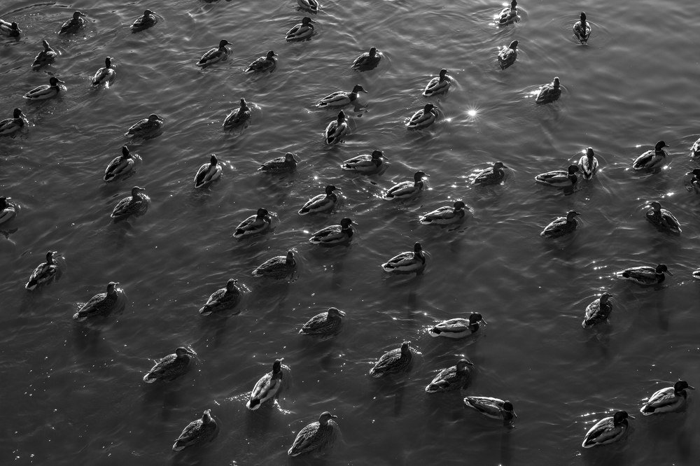 Photograph by Анастасия Завьялова