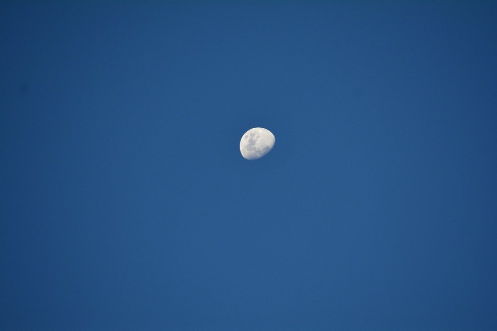 Photograph by Lourdes Cajigal