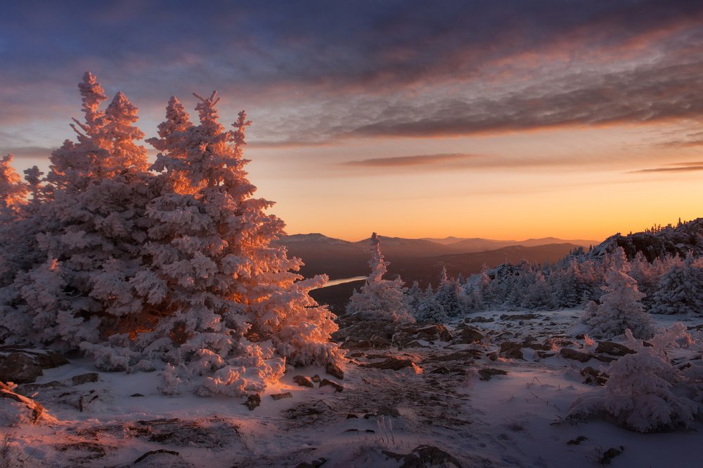 Photograph by Татьяна Бирюкова