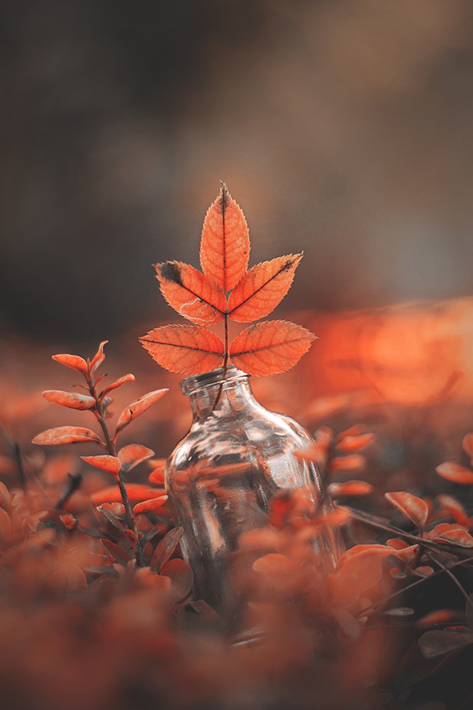 Photograph by Vahid Setoodeh