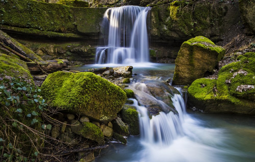 Зелёная зима и утро на ручье