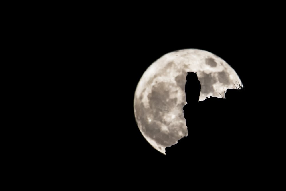 Photograph by sohrab kaveh