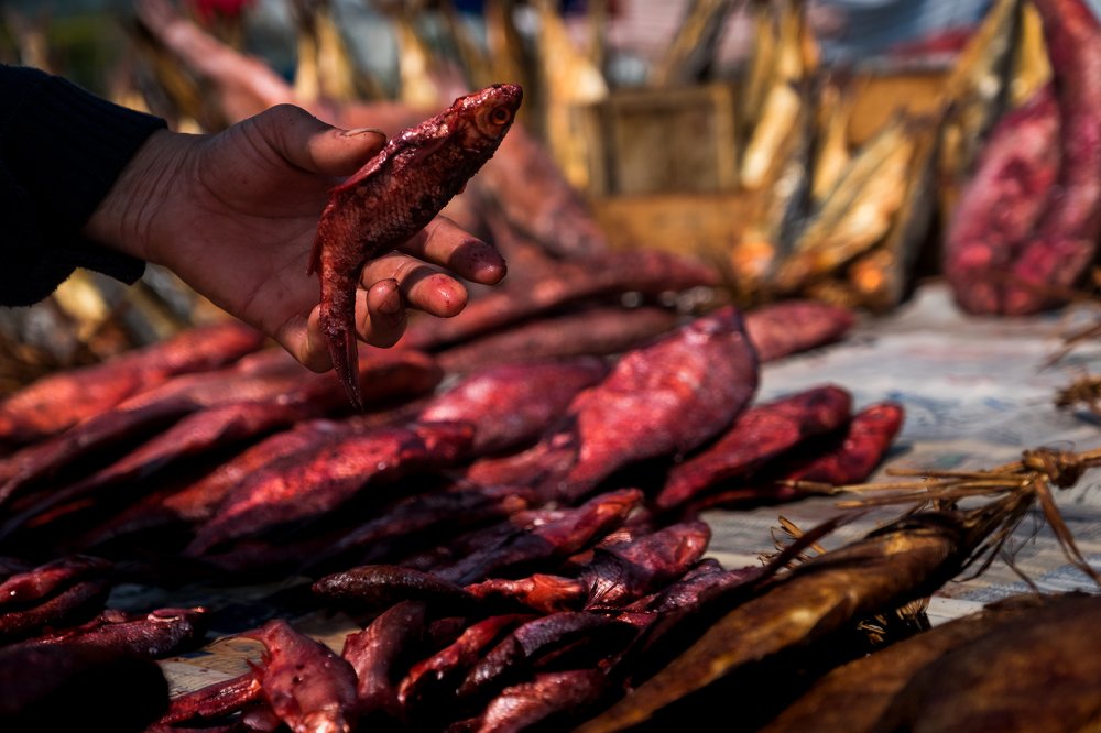 Photograph by sohrab kaveh