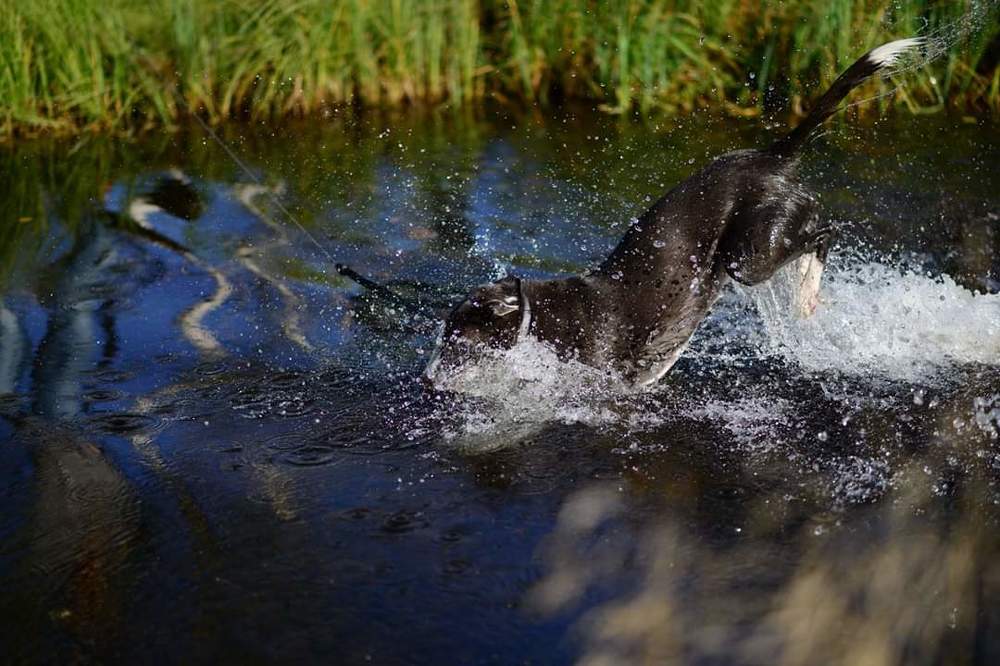 Фотография автора Anna NovaLova