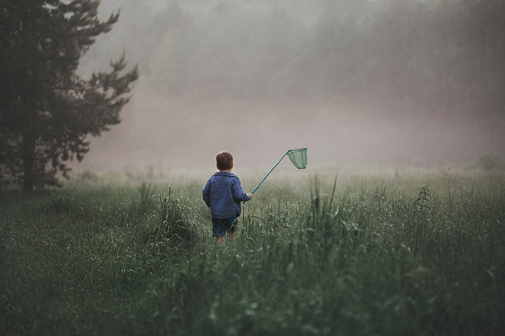 Фотография автора Анна Беляева