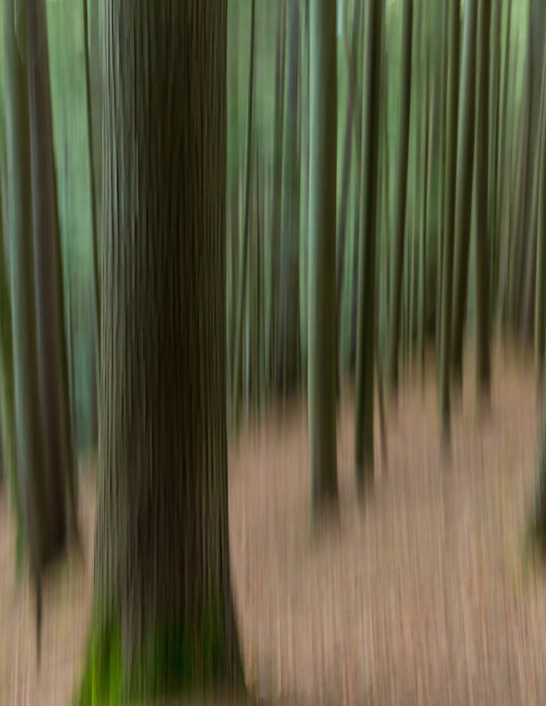 Фотография автора Gabriel Pacurariu