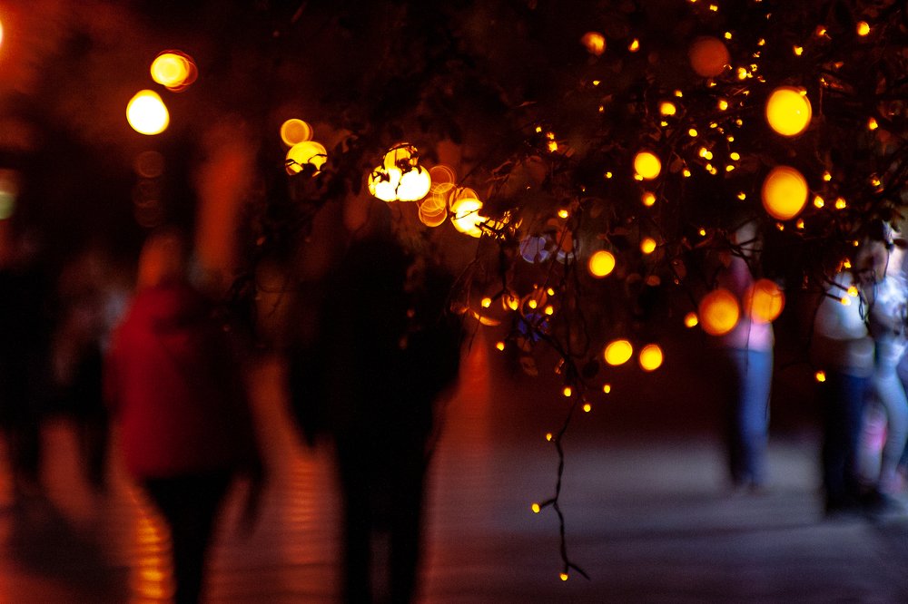 Photograph by Николай Захаров