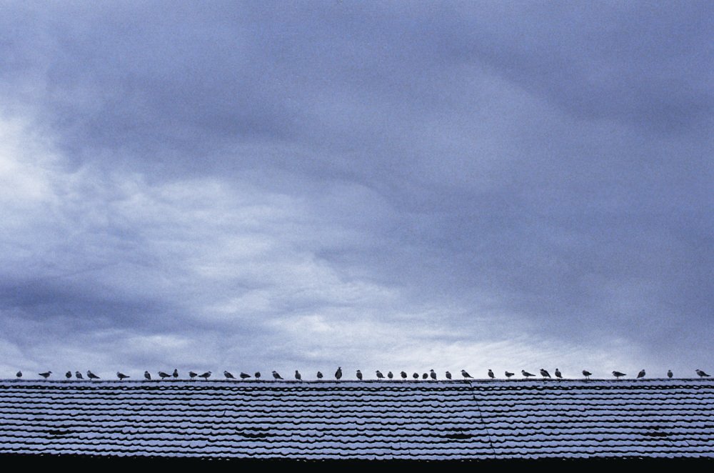 Photograph by Ангелина Клименко
