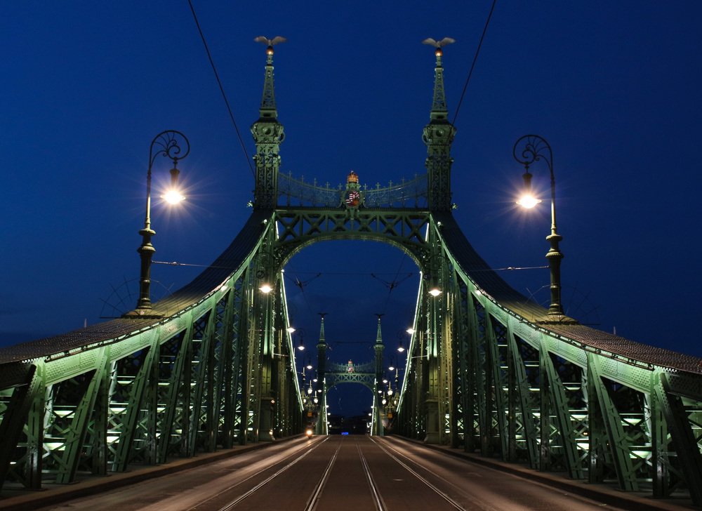 The Liberty Bridge, Budapest, Hungary