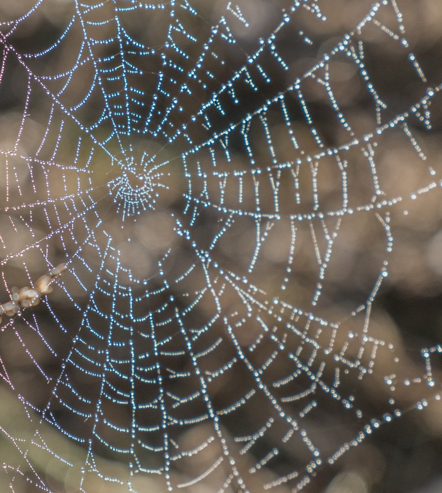 Photograph by RIDVAN HOŞGÖR