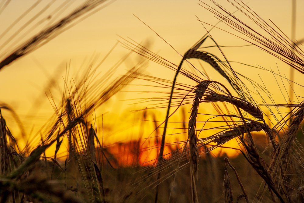 Photograph by Николай Захаров