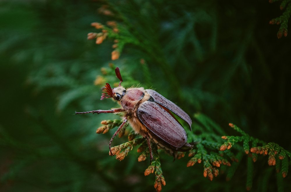 Photograph by Наталья Золотарева
