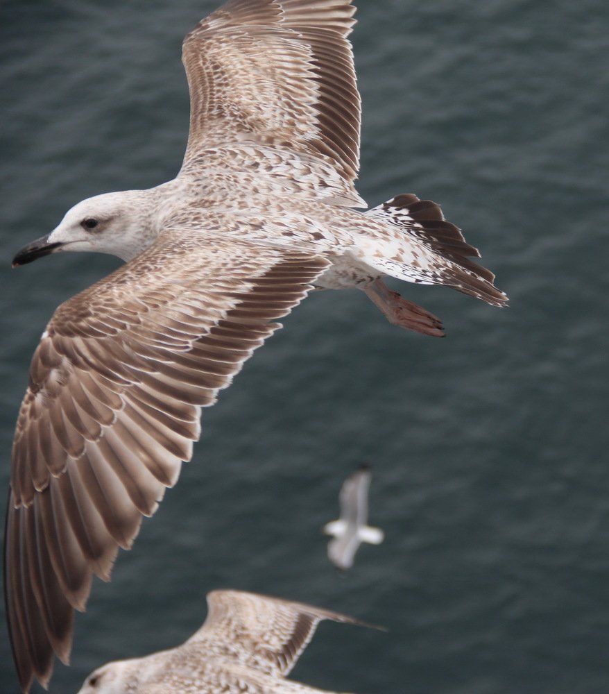 Photograph by Валентина